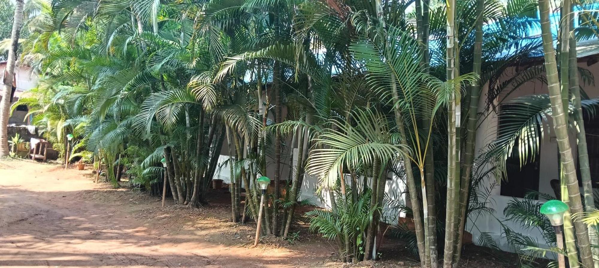 Casa Beach Hut Resort Palolem Exterior foto