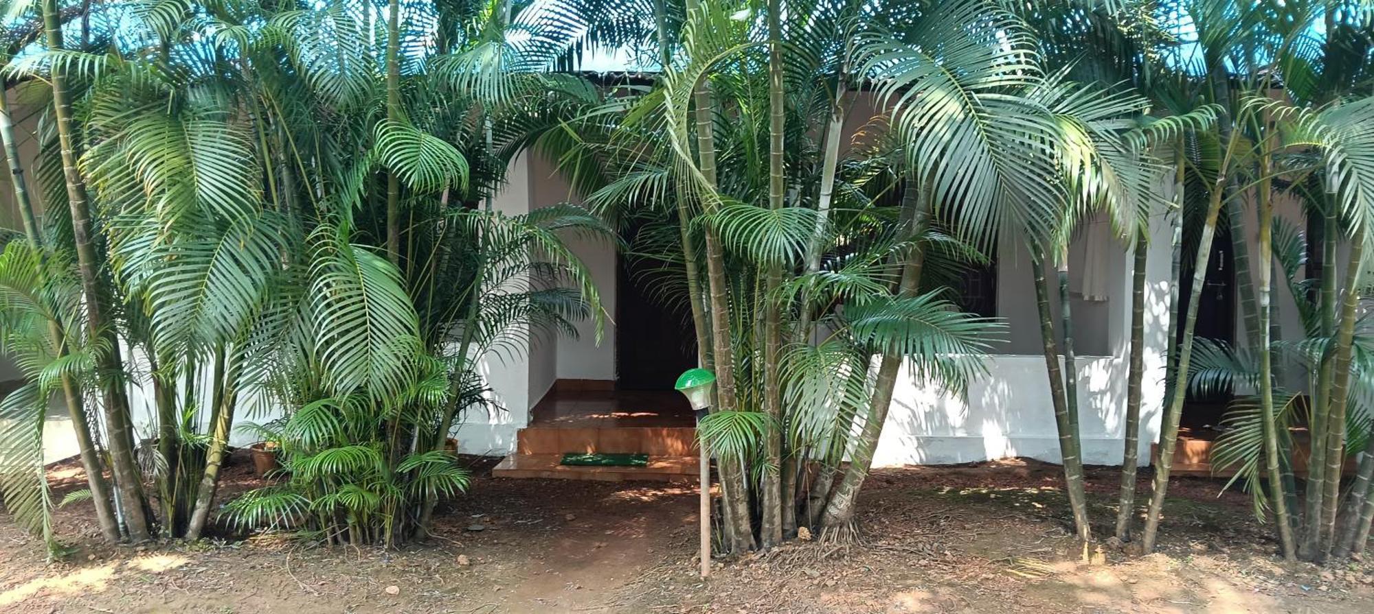 Casa Beach Hut Resort Palolem Exterior foto